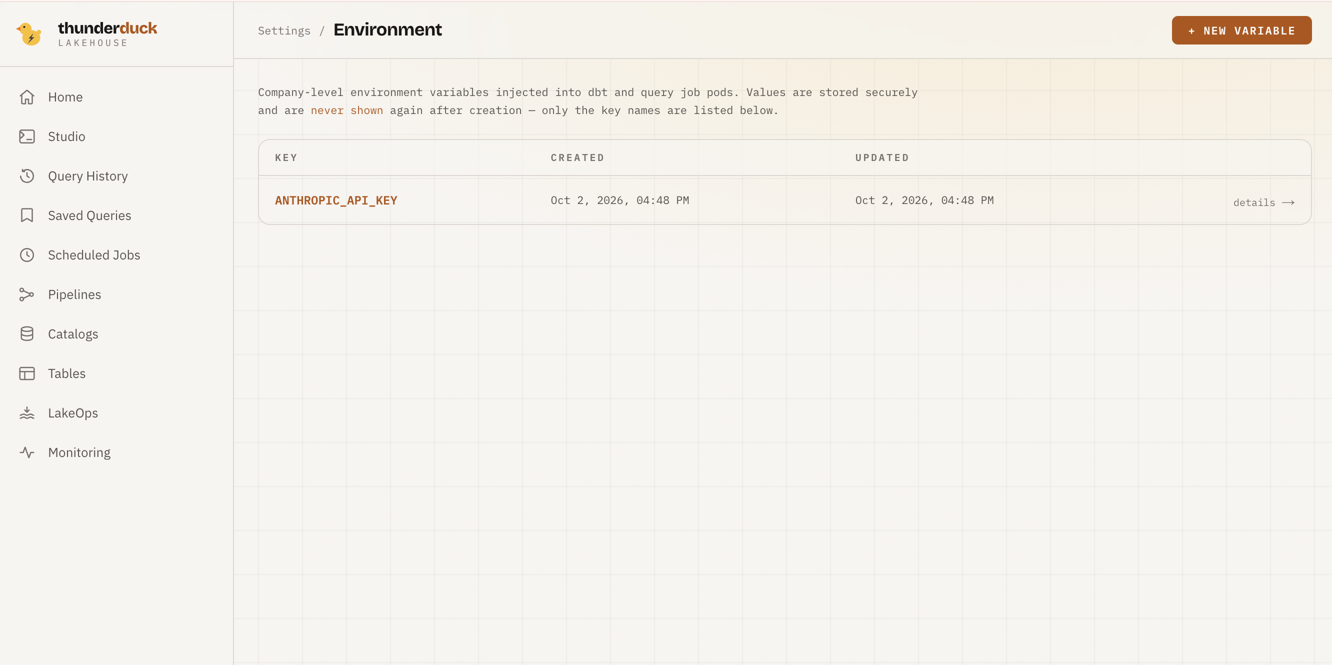 The Settings → Environment page in Thunderduck