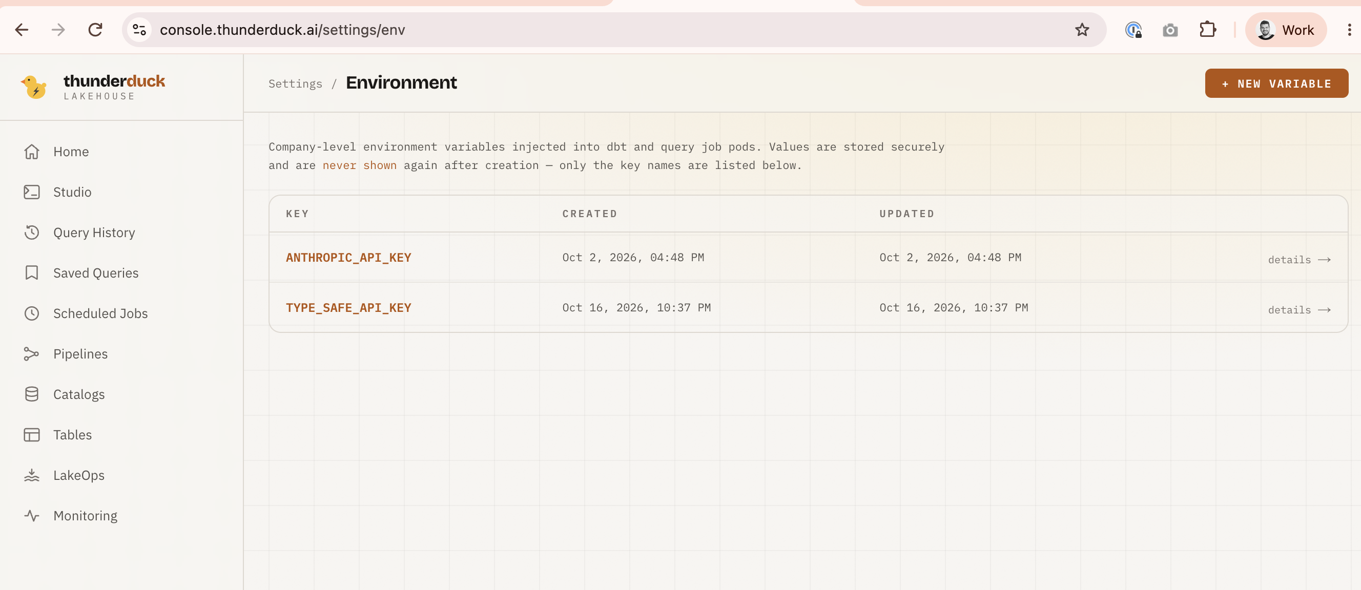 TYPE_SAFE_API_KEY listed on the Environment page